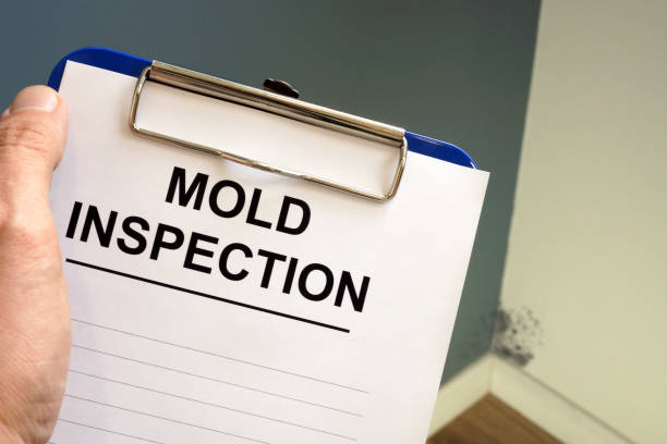 Best Water Damage & Mold Remediation  in Sylvan Lake, MI